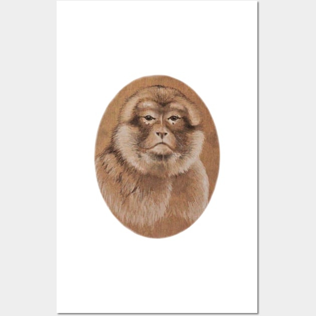 Barbary Macaque Wall Art by kc-art